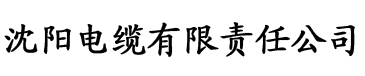 91抖音在线下载地址电缆厂logo